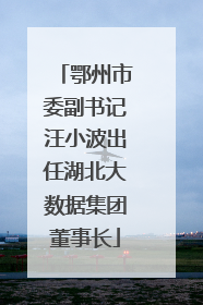 鄂州市委副书记汪小波出任湖北大数据集团董事长